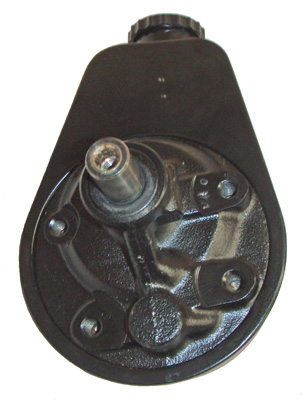 Hydraulikpumpe, Lenkung 04.30.0100 kaufen | LIZARTE