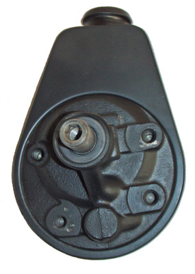 Hydraulikpumpe, Lenkung 04.30.0200 kaufen | LIZARTE