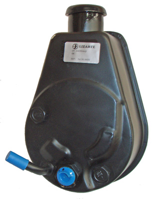 Hydraulikpumpe, Lenkung 04.30.0600 kaufen | LIZARTE