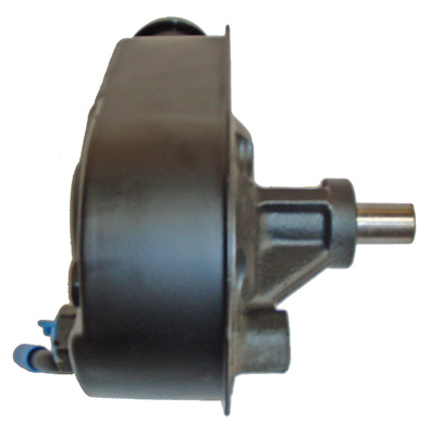 Hydraulikpumpe, Lenkung 04.30.0600 kaufen | LIZARTE