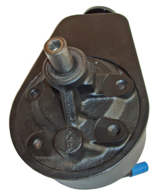 Hydraulikpumpe, Lenkung 04.30.0600 kaufen | LIZARTE