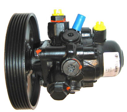 Hydraulikpumpe, Lenkung 04.36.0308 kaufen | LIZARTE
