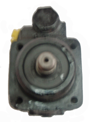 Hydraulikpumpe, Lenkung 04.45.0320 kaufen | LIZARTE