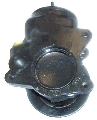 Hydraulikpumpe, Lenkung 04.48.0212-2 kaufen | LIZARTE