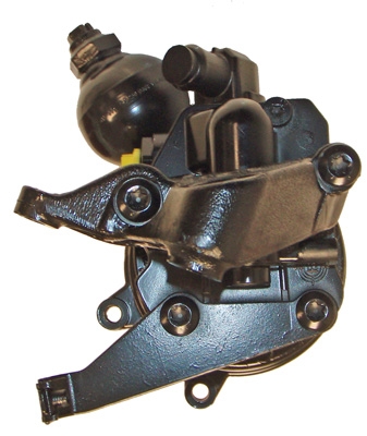 Hydraulikpumpe, Lenkung 04.48.0665 kaufen | LIZARTE