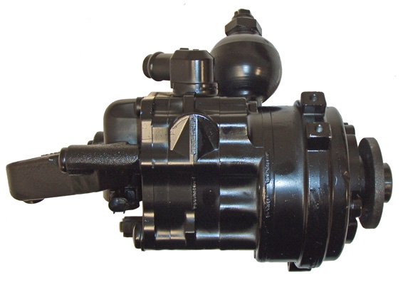 Hydraulikpumpe, Lenkung 04.48.0665 kaufen | LIZARTE