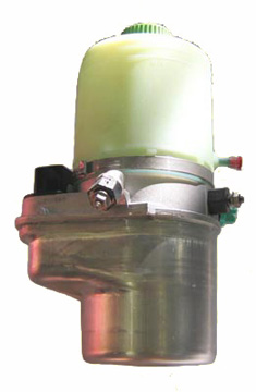 Hydraulikpumpe, Lenkung 04.55.0803 kaufen | LIZARTE