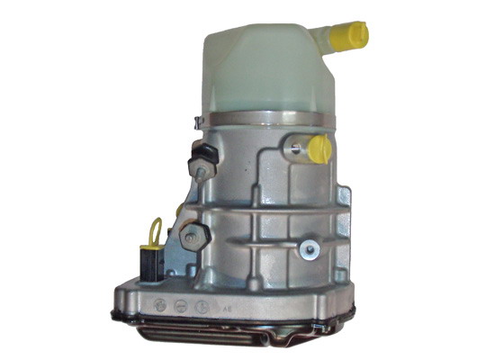 Hydraulikpumpe, Lenkung 04.55.1906 kaufen | LIZARTE