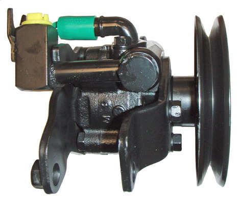 Hydraulikpumpe, Lenkung 04.75.0100 kaufen | LIZARTE