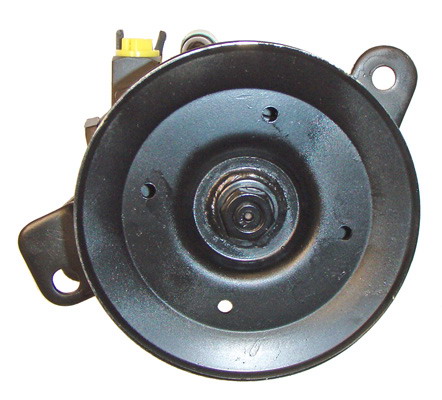 Hydraulikpumpe, Lenkung 04.75.0100 kaufen | LIZARTE