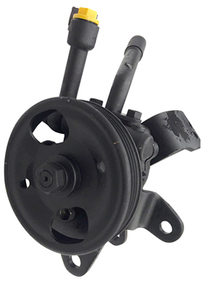 Hydraulikpumpe, Lenkung 04.75.0139-1 kaufen | LIZARTE