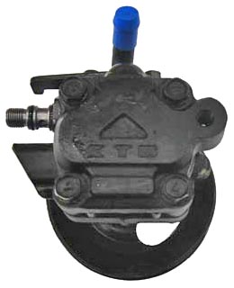 Hydraulikpumpe, Lenkung 04.75.0303 kaufen | LIZARTE