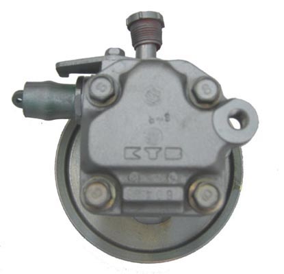 Hydraulikpumpe, Lenkung 04.75.0810-1 kaufen | LIZARTE