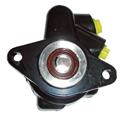 Hydraulikpumpe, Lenkung 04.85.0100 kaufen | LIZARTE