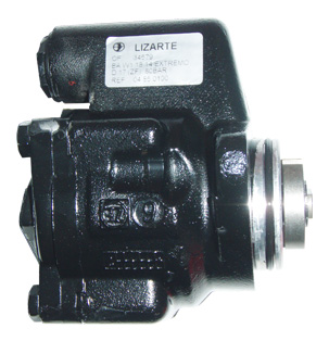 Hydraulikpumpe, Lenkung 04.85.0100 kaufen | LIZARTE