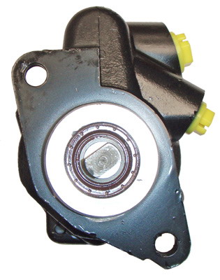 Hydraulikpumpe, Lenkung 04.85.0120 kaufen | LIZARTE