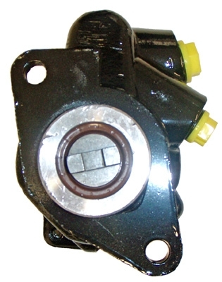 Hydraulikpumpe, Lenkung 04.85.0130 kaufen | LIZARTE
