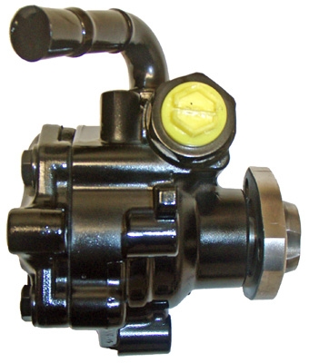 Hydraulikpumpe, Lenkung 04.94.0101 kaufen | LIZARTE