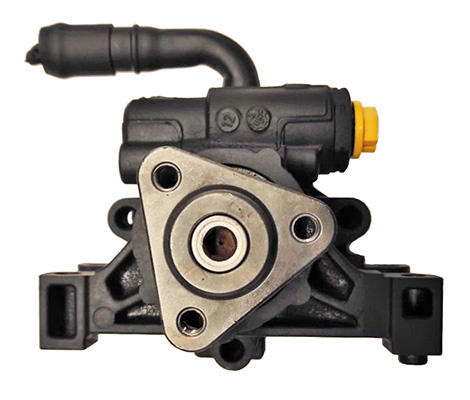 Hydraulikpumpe, Lenkung 04.94.0190 kaufen | LIZARTE