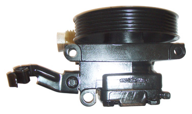 Hydraulikpumpe, Lenkung 04.94.0210-1 kaufen | LIZARTE
