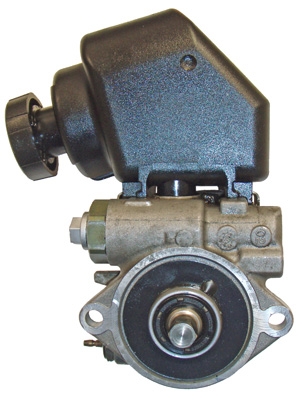 Hydraulikpumpe, Lenkung 04.94.0215 kaufen | LIZARTE