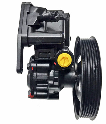 Hydraulikpumpe, Lenkung 04.94.0217 kaufen | LIZARTE
