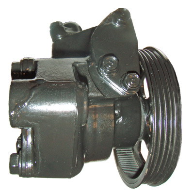 Hydraulikpumpe, Lenkung 04.94.0430-1 kaufen | LIZARTE
