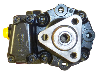 Hydraulikpumpe, Lenkung 04.95.0200 kaufen | LIZARTE