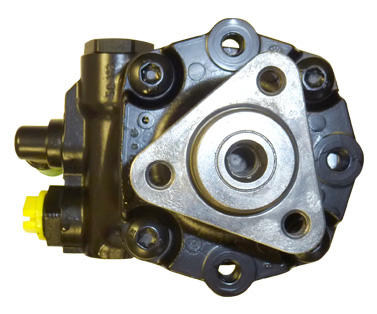 Hydraulikpumpe, Lenkung 04.95.0250 kaufen | LIZARTE