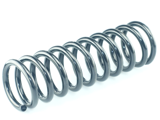 CS Germany 14.101.250 Fahrwerksfeder Hinterachse für BMW