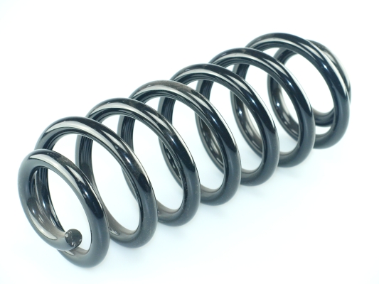 CS Germany 14.101.257 Fahrwerksfeder Hinterachse für BMW