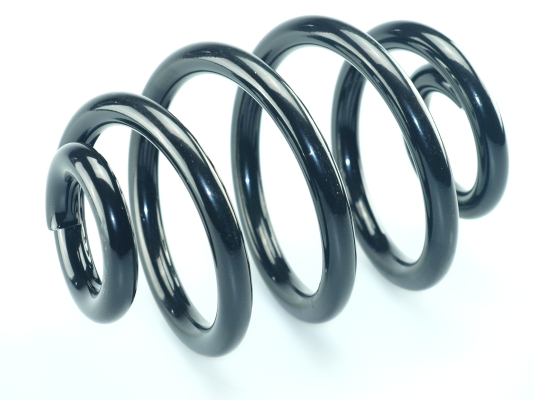 CS Germany 14.101.535 Fahrwerksfeder Hinterachse für BMW