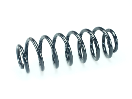 CS Germany 14.101.553 Fahrwerksfeder Hinterachse für BMW