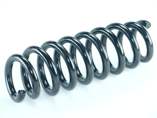 CS Germany 14.101.597 Fahrwerksfeder Hinterachse für BMW