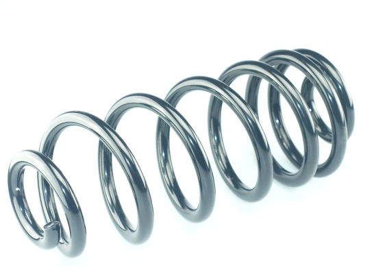 CS Germany 14.101.599 Fahrwerksfeder Hinterachse für BMW