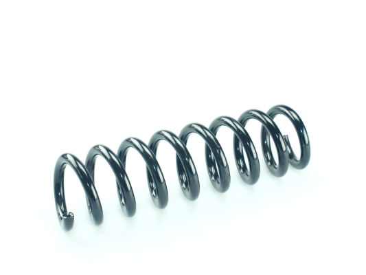 CS Germany 14.101.615 Fahrwerksfeder Hinterachse für BMW