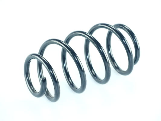 CS Germany 14.201.006 Fahrwerksfeder Vorderachse für SMART