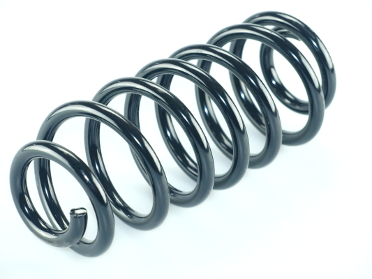 CS Germany 14.201.011 Fahrwerksfeder Hinterachse für SMART