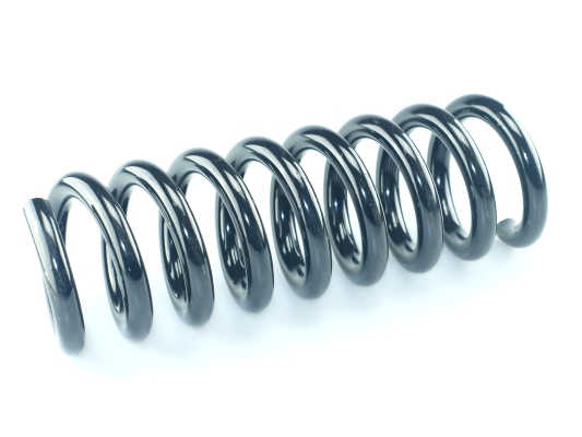 CS Germany 14.319.010 Fahrwerksfeder Hinterachse für MERCEDES-BENZ