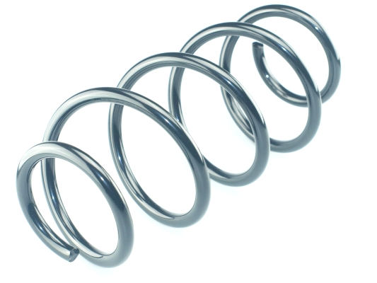 CS Germany 14.319.025 Fahrwerksfeder Vorderachse für MERCEDES-BENZ