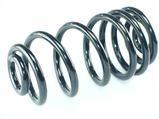 CS Germany 14.319.052 Fahrwerksfeder Hinterachse für MERCEDES-BENZ