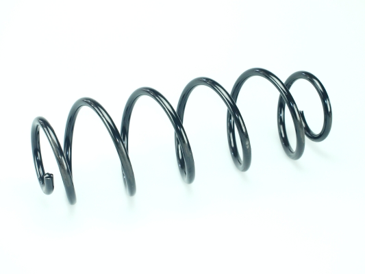 CS Germany 14.319.417 Fahrwerksfeder Hinterachse für MERCEDES-BENZ