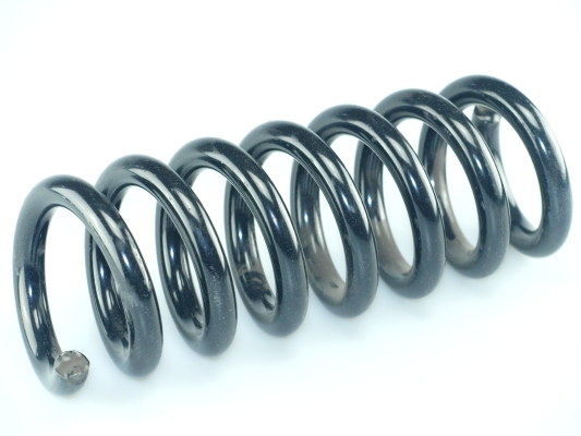 CS Germany 14.319.434 Fahrwerksfeder Hinterachse für MERCEDES-BENZ