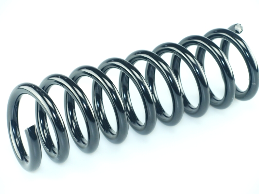 CS Germany 14.319.556 Fahrwerksfeder Hinterachse für MERCEDES-BENZ