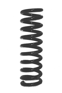 CS Germany 14.319.557 Fahrwerksfeder Hinterachse für MERCEDES-BENZ