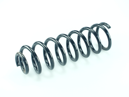 CS Germany 14.319.569 Fahrwerksfeder Vorderachse für MERCEDES-BENZ