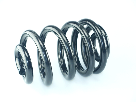 CS Germany 14.319.576 Fahrwerksfeder Hinterachse für MERCEDES-BENZ