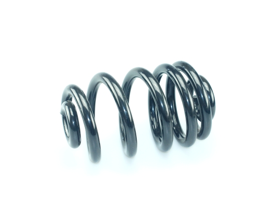 CS Germany 14.319.577 Fahrwerksfeder Hinterachse für MERCEDES-BENZ