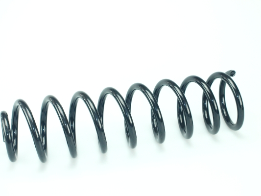 CS Germany 14.319.584 Fahrwerksfeder Vorderachse für MERCEDES-BENZ