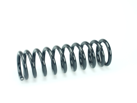 CS Germany 14.319.893 Fahrwerksfeder Hinterachse für MERCEDES-BENZ